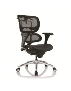 Silla Ergohuman gerente de...